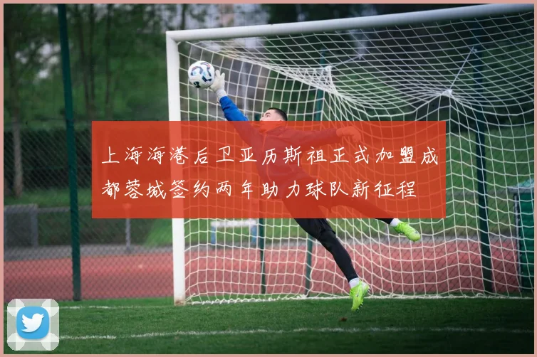 上海海港后卫亚历斯祖正式加盟成都蓉城签约两年助力球队新征程