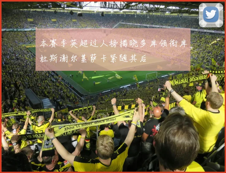本赛季英超过人榜揭晓多库领衔库杜斯谢尔基萨卡紧随其后